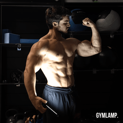 Professional GYMLAMP™